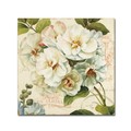 Trademark Fine Art Lisa Audit 'Les Jardin III' Canvas Art, 14x14 WAP0203-C1414GG